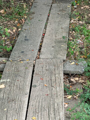 old cement floor in the forest