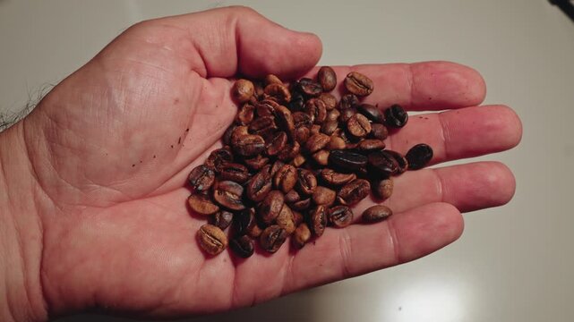 Hand Holding Mixed Roast, Home-Roasted Coffee Beans
