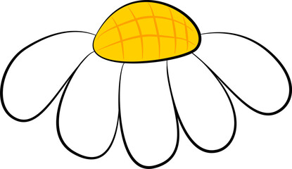 White daisy flower vector illustration