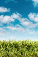 Premium high-quality fresh grass with blue sky and clouds in spring outdoors modern eco lifestyle for Millennial marketing and environmental campaigns