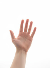 Obraz premium Open Hand Gesture: A person's hand, palm facing upward, exhibits an open gesture against an isolated backdrop, symbolizing invitation, openness, and giving.