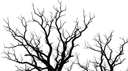 Bare winter trees with twisted branches silhouette
