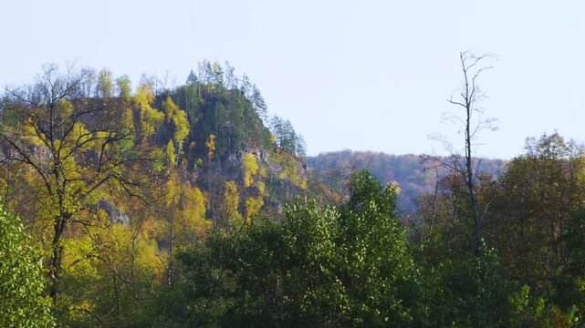 Footage showcasing the vibrant autumn landscape of Ishimbaysky Natural Zoological Reserve in the South Ural mountains of Russia. Featuring a picturesque hill adorned with diverse trees displaying stun