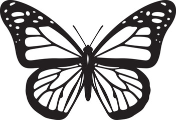 butterfly isolated on white