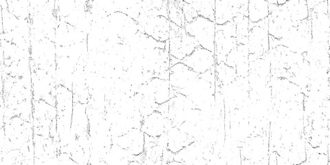 Black and White Abstract Cracked Distressed Grunge Noise Texture
