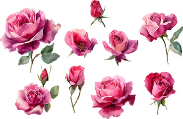 Fototapeta premium bouquet of pink roses