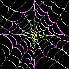 Colorful Spider web