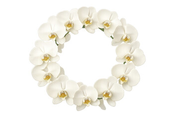 Obraz premium White phalaenopsis orchids forming a floral wreath circle