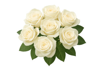 Naklejka premium White roses bouquet creating background on transparent