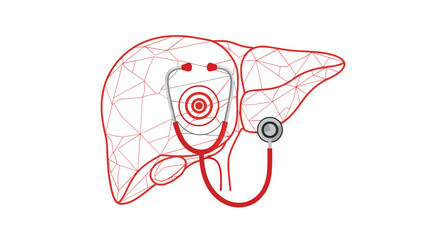 Understanding the importance of the liver in maintaining overall health and well-being.