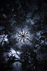 Intricate dark pattern creating a mystical aura.