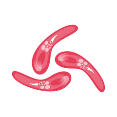 Toxoplasmosis Vector Illustration. Vector illustration depicting human immune cells, including macrophages and mast cells, showcasing the biology of the immune system and monocyte types in immunology