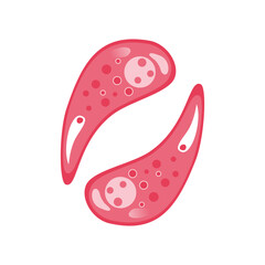 Toxoplasmosis Vector Illustration. Vector illustration depicting human immune cells, including macrophages and mast cells, showcasing the biology of the immune system and monocyte types in immunology