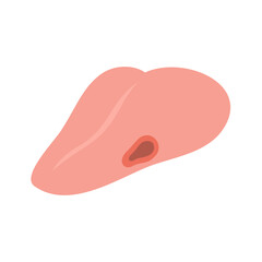 フチが赤く抉れている舌
