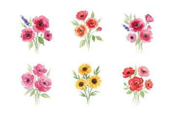 watercolor flowers drawing illustration collection