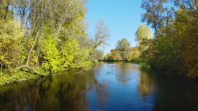 A beautiful, clear river flows through a vibrant autumn forest. The trees on the riverbanks are adorned with stunning golden, yellow, and green leaves under a bright blue sky. The water reflects the c