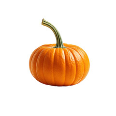 Obraz premium Orange pumpkin with green stem sits against stark black background
