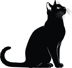 Black cat silhouette, elegant feline shape, minimalist animal icon, mysterious pet artwork, vector illustration, isolated graphic, clean design, spooky theme