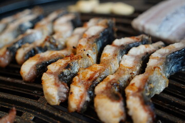 Grilled Eel Fillets on Charcoal Grill Close-Up