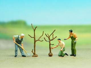 Fototapete bei efototapeten.de bestellen   