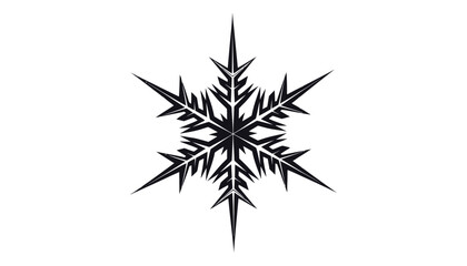 Fototapeta premium A black and white snowflake with sharp edges