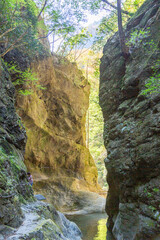 雄大な自然の美しい渓谷