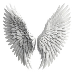 Majestic feathered wings, pristine white. Spread, ethereal, beauty