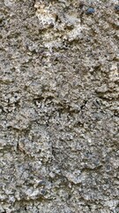 Rough Gray Stone Wall Texture Close-up for Construction and Design