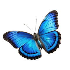Vibrant, detailed azure butterfly with intricate wing patterns