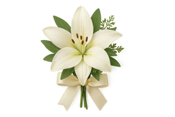 Obraz premium White lily flower bouquet with ribbon on transparent background