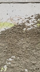 Textured Gray Wall with Stucco, Rough Surface Concrete Exterior