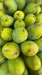 Pile of Fresh Green Mangoes, Unripe Fruit Still Life