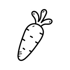 Doodle Style Carrot Vegetable Line Art on Transparent Background Hand Drawn Isolated Graphic Element Icon Clip Art Vector Illustration Fresh Organic Food