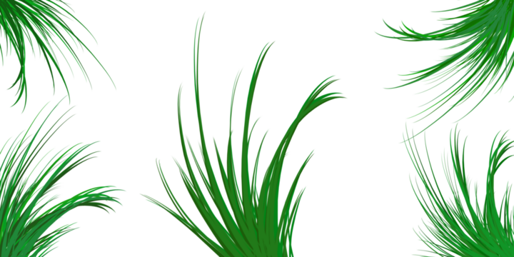 Green abstract grass strands isolated on transparent background