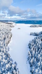 Snowy winter landscape