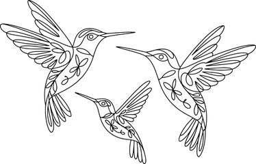 Fototapeta premium Three delicate hummingbirds in flight artistic sketch nature wildlife fauna