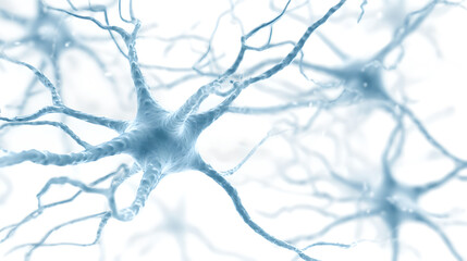 A microscopic view of interconnected blue neurons against a clean white background.