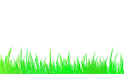 Obraz premium Vibrant green grass blades isolated on transparent background