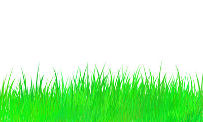Obraz premium Vibrant green grass blades isolated on transparent background