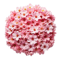 Pink floral sphere with many layered petals on a black background