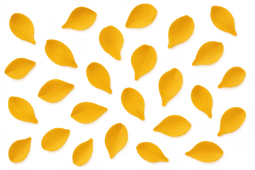 Yellow petals falling seamless pattern transparent background