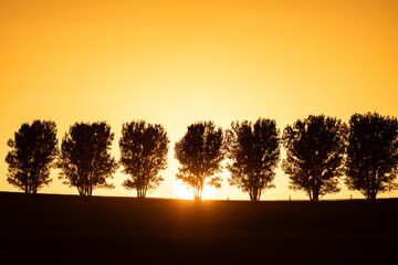 Sunset at Snake River Plain. Sunset Road + U.S. Highway 26 (US 26), Blackfoot is a city in and the...