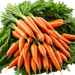 Vibrant bunch orange carrots with lush green tops piled high