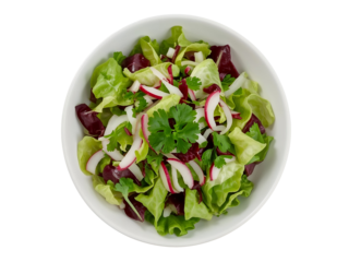 Fresh green salad with red lettuce radish and onion slices isolated on a transparent background