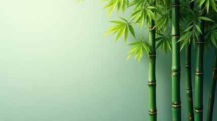 Serene Green Bamboo Shoots with Lush Foliage Against a Soft Mint Background, Perfect for Wellness and Nature-Inspired Designs