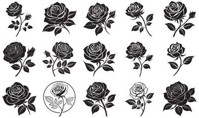 Roses Vector Set – Black Floral Silhouette Illustrations