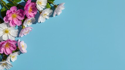 Elegant pink flower edge border on blue pastel background