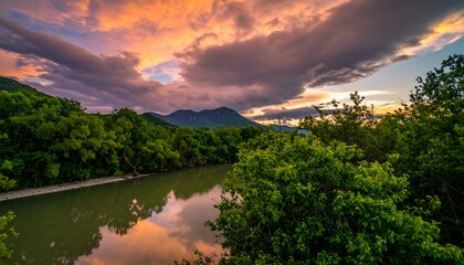 Fototapeta premium River flowing through lush green foliage under a vibrant sunset