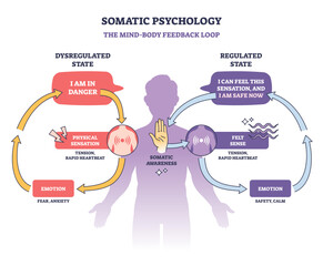 Somatic psychology diagram shows mind-body feedback loop, highlighting emotion, physical sensation, and somatic awareness, transparent background.