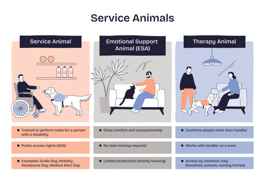 Service animals help people with disabilities, emotional support animals provide comfort, and therapy animals assist in therapy, transparent background. Main objects, people, animals, icons.